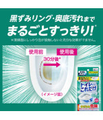 Toilet Heiter Toilet Cleaning Only, 3 Bags